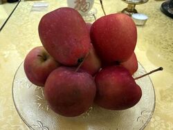 The Antares (D14), Apartment #521189571